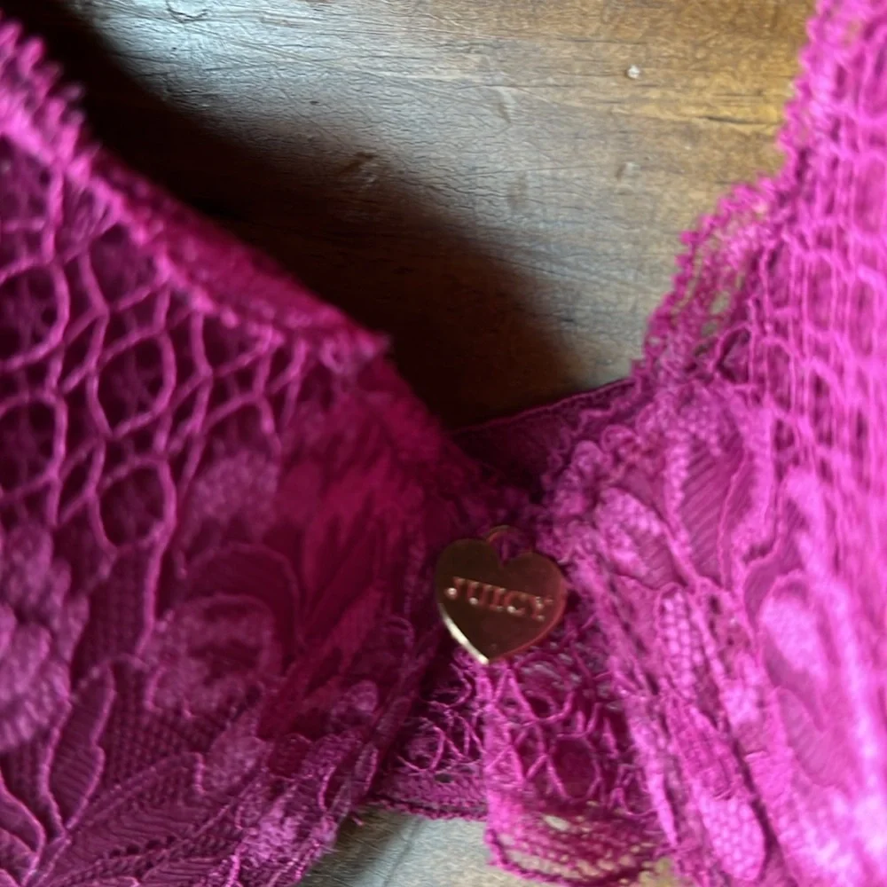 Juicy Couture Sexy Extreme Push-Up Plum Envy Bra - Sz 34C